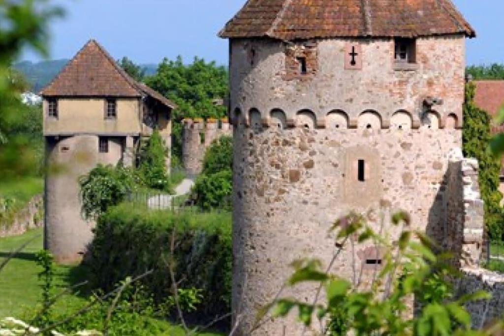 L'Altenberg Bergheim Exterior photo