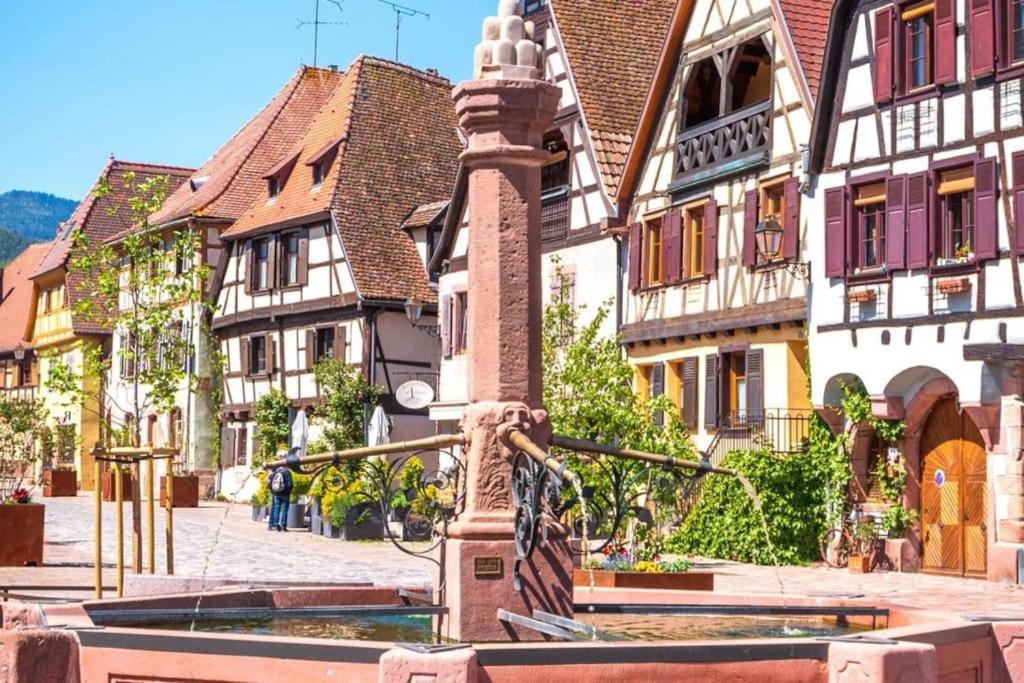 L'Altenberg Bergheim Exterior photo